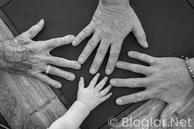 Aile ve Sosyal Hizmetler Bakanlığı kpss siz personel alımı