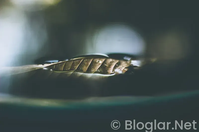 Anında Nakit Para Bulma Yöntemleri