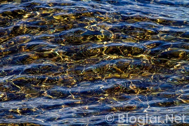Bağcılar Belediyesi hangi parti?