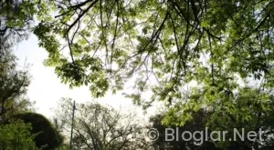 baharın ışıltısını yansıtan makyaj ipuçlari