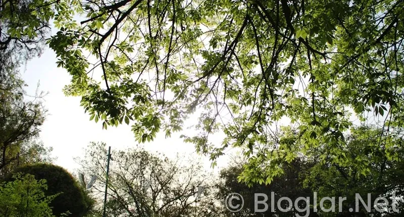 baharın ışıltısını yansıtan makyaj ipuçlari