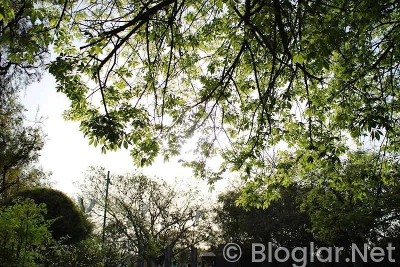 baharın ışıltısını yansıtan makyaj ipuçlari