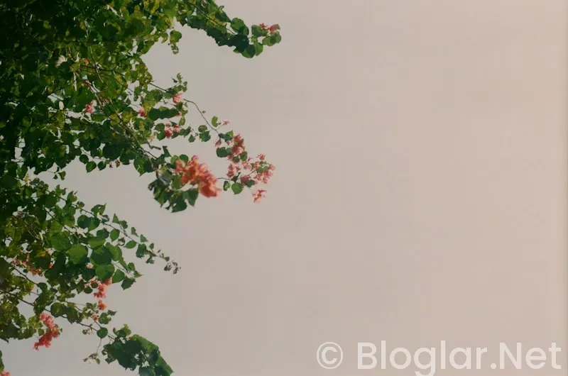 baharın ışıltısını yansıtan makyaj ipuçlari