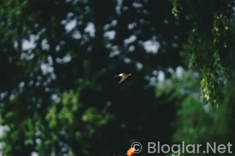 baharın ışıltısını yansıtan makyaj ipuçlari