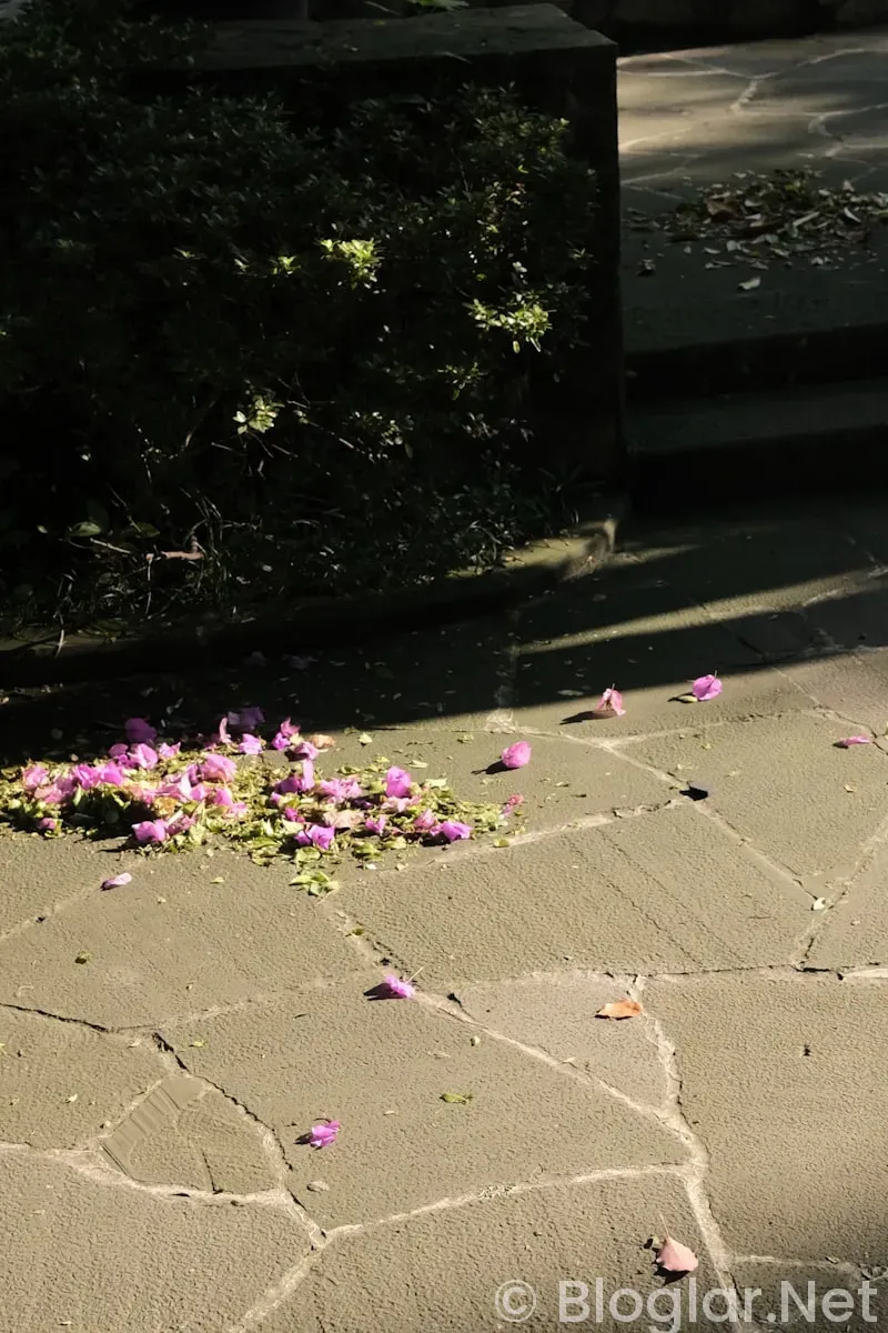 baharın ışıltısını yansıtan makyaj ipuçlari