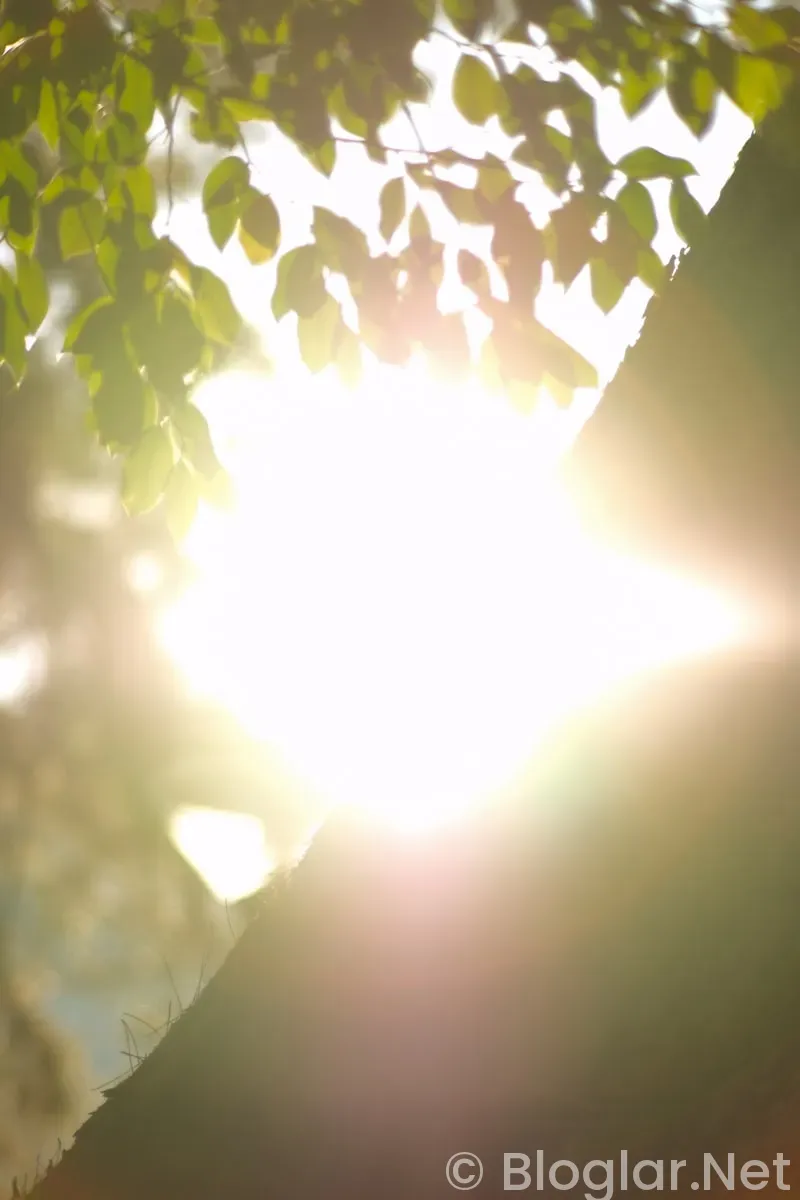baharın ışıltısını yansıtan makyaj ipuçlari
