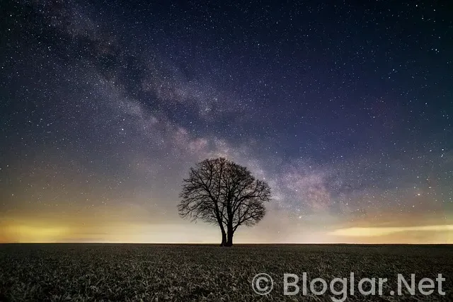 Başiskele iş ilanları