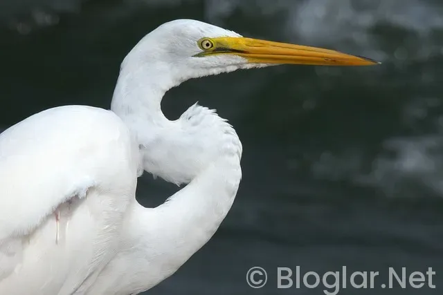 Bulaşıkçı iş ilanları