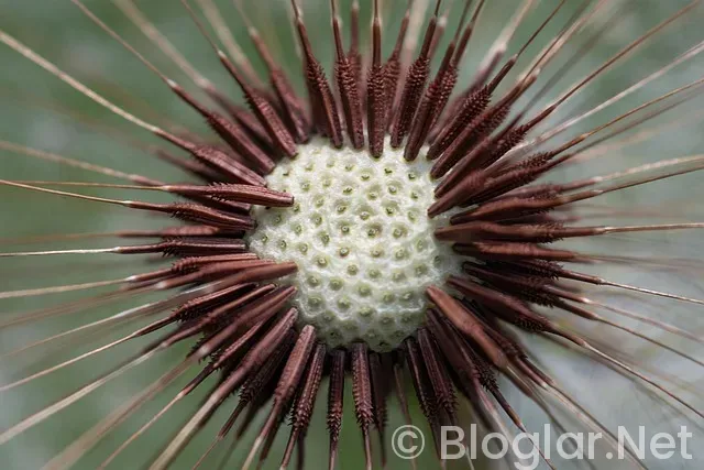 Bulaşıkçı iş ilanları