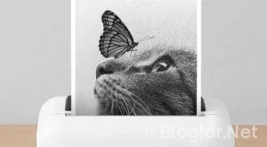 Burdur Bucak Belediyesi Geçici 20 işçi alacak