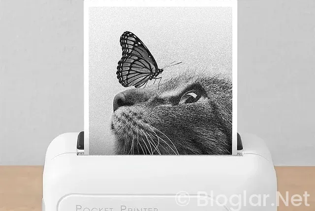 Burdur Bucak Belediyesi Geçici 20 işçi alacak