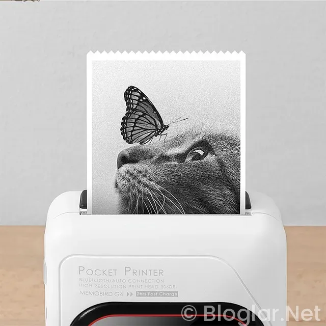 Burdur Bucak Belediyesi Geçici 20 işçi alacak Burdur Bucak Belediyesi Geçici 20 işçi alacak