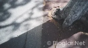 Deprem Uzmanı Nedir? Ne İş Yapar?