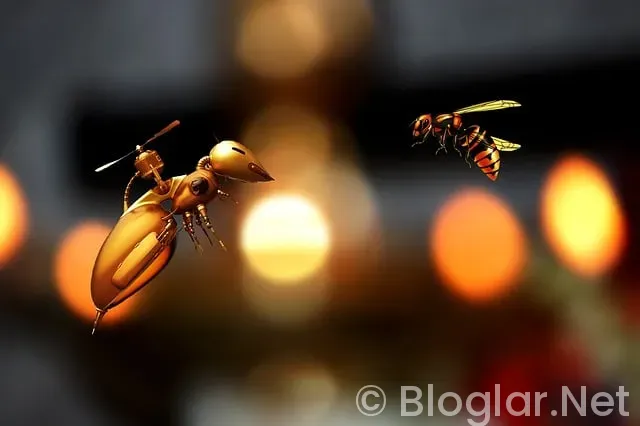 Drone Uçurma Alanları