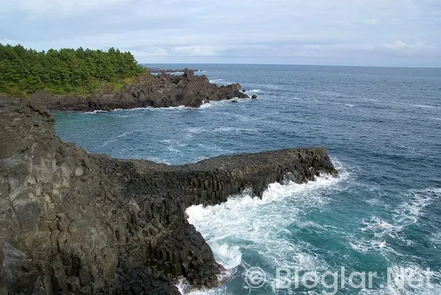 Emlak Vergisi Son Ödeme Ne Zaman? Emlak Vergisi Son Ödeme Ne Zaman?