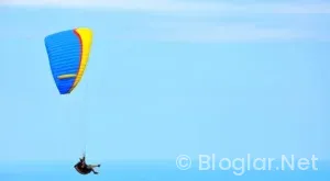 Giresun İş İlanları