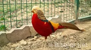 istanbul havalimanı iş ilanları