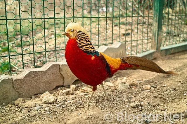 istanbul havalimanı iş ilanları