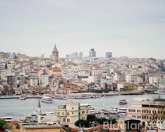 istanbul psikolog iş ilanları istanbul psikolog iş ilanları