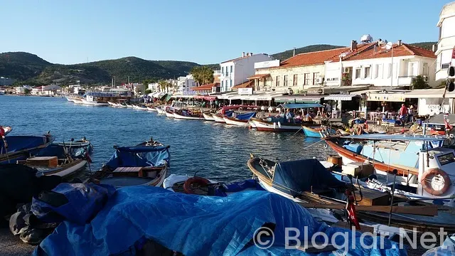 izmir izpa araştırma geçici 20 işçi alacak