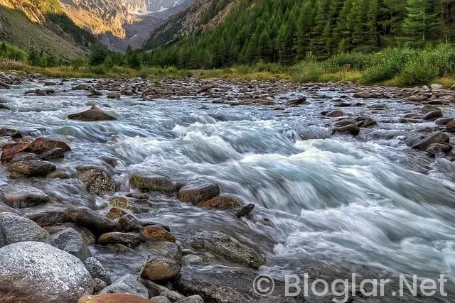 Kanal D Canlı Yayın Akışı Kanal D Canlı Yayın Akışı