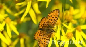 Kültür Turizm Bakanlığı 7 personel alacak