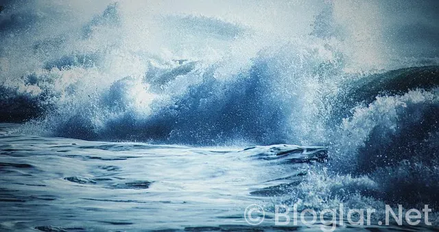 Şampiyonlar Ligi maçları hangi kanalda? Şampiyonlar Ligi maçları hangi kanalda?