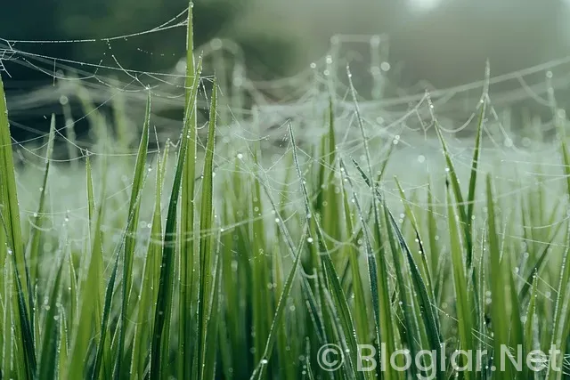 SGK Erken Emeklilik Şartları SGK Erken Emeklilik Şartları