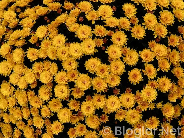 Silivri İş İlanları Silivri İş İlanları