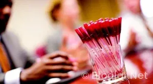 Soyo nasıl bir uygulama