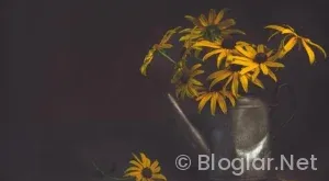 Soyo Uygulama nedir?