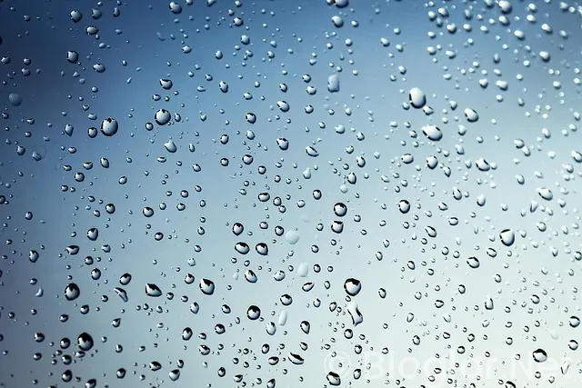 Soyo Uygulama nedir?