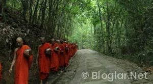 Soyo Uygulaması Para Kazanma