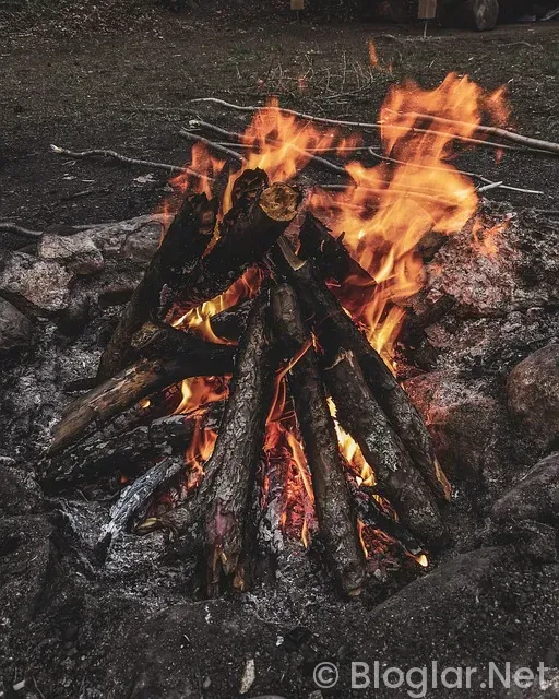 Soyo Uygulaması Para Kazanma Soyo Uygulaması Para Kazanma