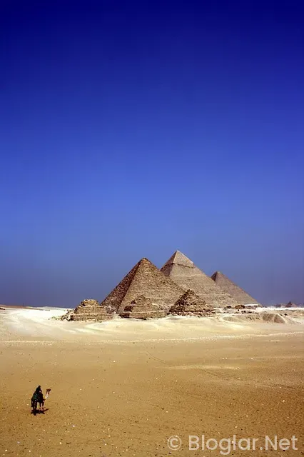 Telefon Kılıfı Tasarlayarak Para Kazanmak Telefon Kılıfı Tasarlayarak Para Kazanmak