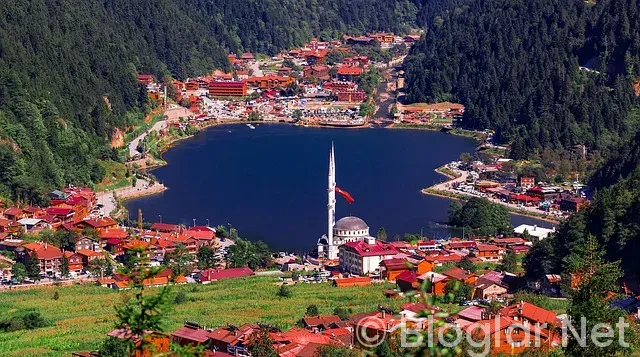 trabzon iş ilanları trabzon iş ilanları