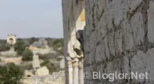 Türkiye Genelinde Büyükşehir Belediyeleri iş ilanları