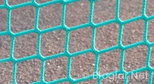 TYT net nasıl hesaplanır?