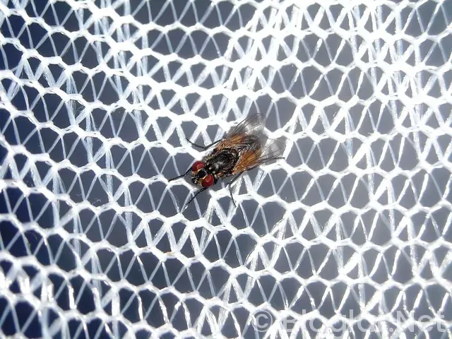 TYT net nasıl hesaplanır? TYT net nasıl hesaplanır?