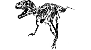 Yatirimsiz para kazanma Telegram