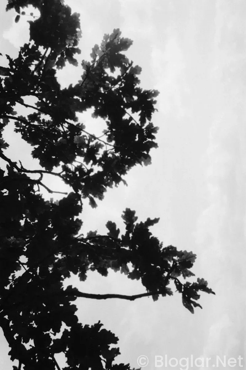 ÜRETİM ELEMANI İŞ İLANLARI