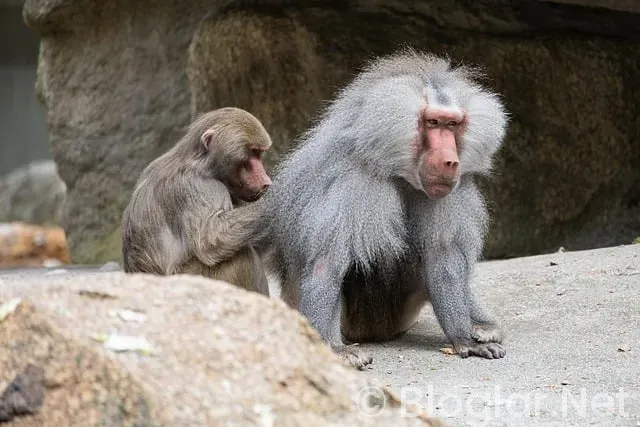 Valorant Çöktü mü? Valorant Çöktü mü?