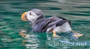vasıfsız bayan eleman arayan fabrikalar