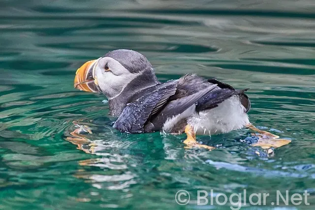 vasıfsız bayan eleman arayan fabrikalar vasıfsız bayan eleman arayan fabrikalar