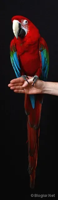 vasıfsız bayan eleman arayan fabrikalar vasıfsız bayan eleman arayan fabrikalar