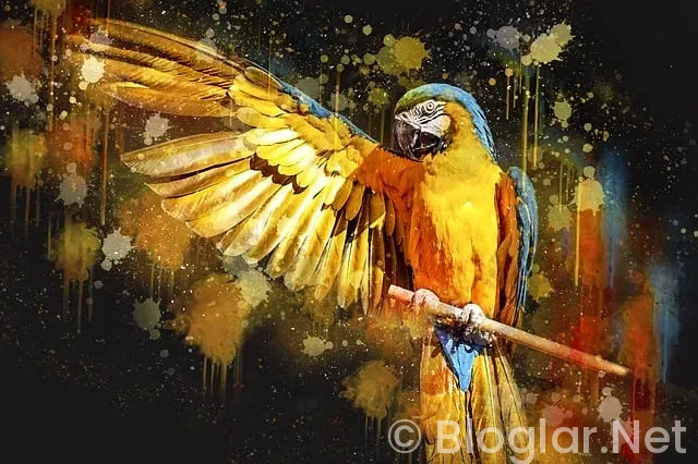 vasıfsız bayan eleman arayan fabrikalar vasıfsız bayan eleman arayan fabrikalar