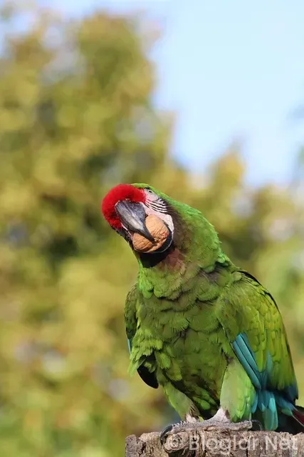 vasıfsız bayan eleman arayan fabrikalar vasıfsız bayan eleman arayan fabrikalar