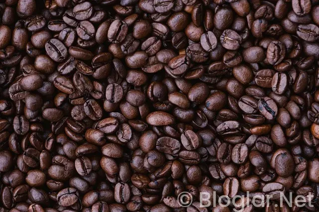 Vatandaşlık Maaşı nedir? nasıl alınır?