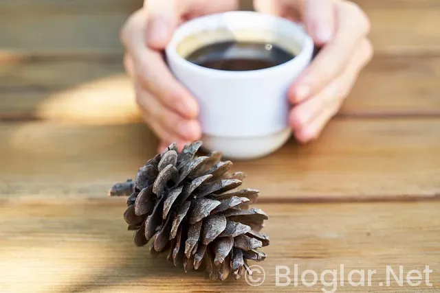 Warner Bros Warner Bros