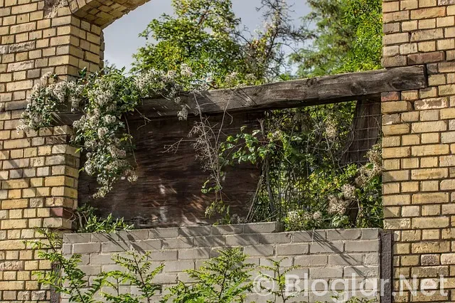 yazlığa bekçi aile ilanları yazlığa bekçi aile ilanları